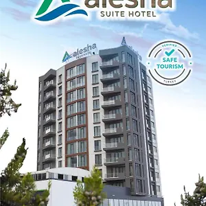 Hotel Alesha &